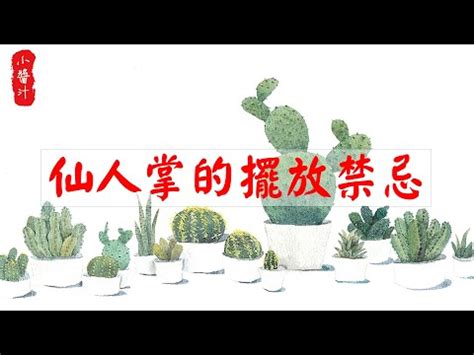 仙人掌放後陽台|仙人掌後陽台擺放攻略